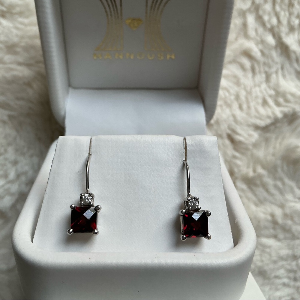 Elegant Silver and Red Earrings